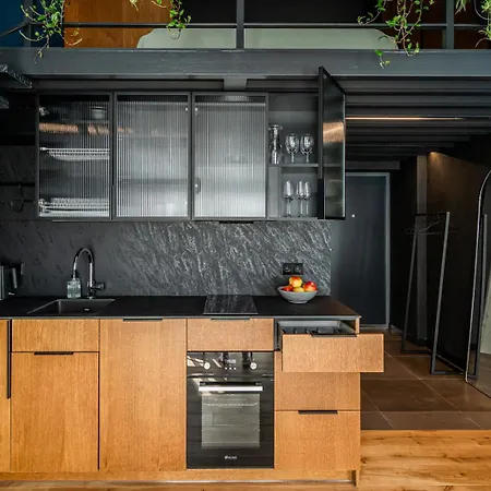 Lägenhet Paupys Lofts *