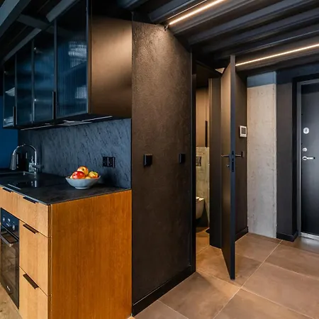 Paupys Lofts Lägenhet