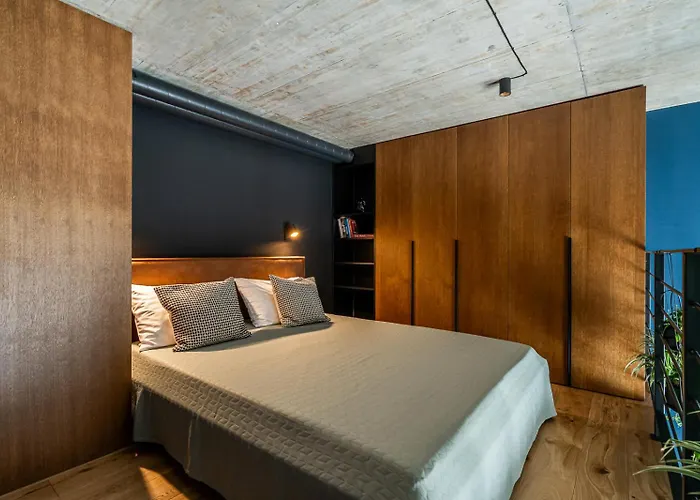 Paupys Lofts Apartment Wilna